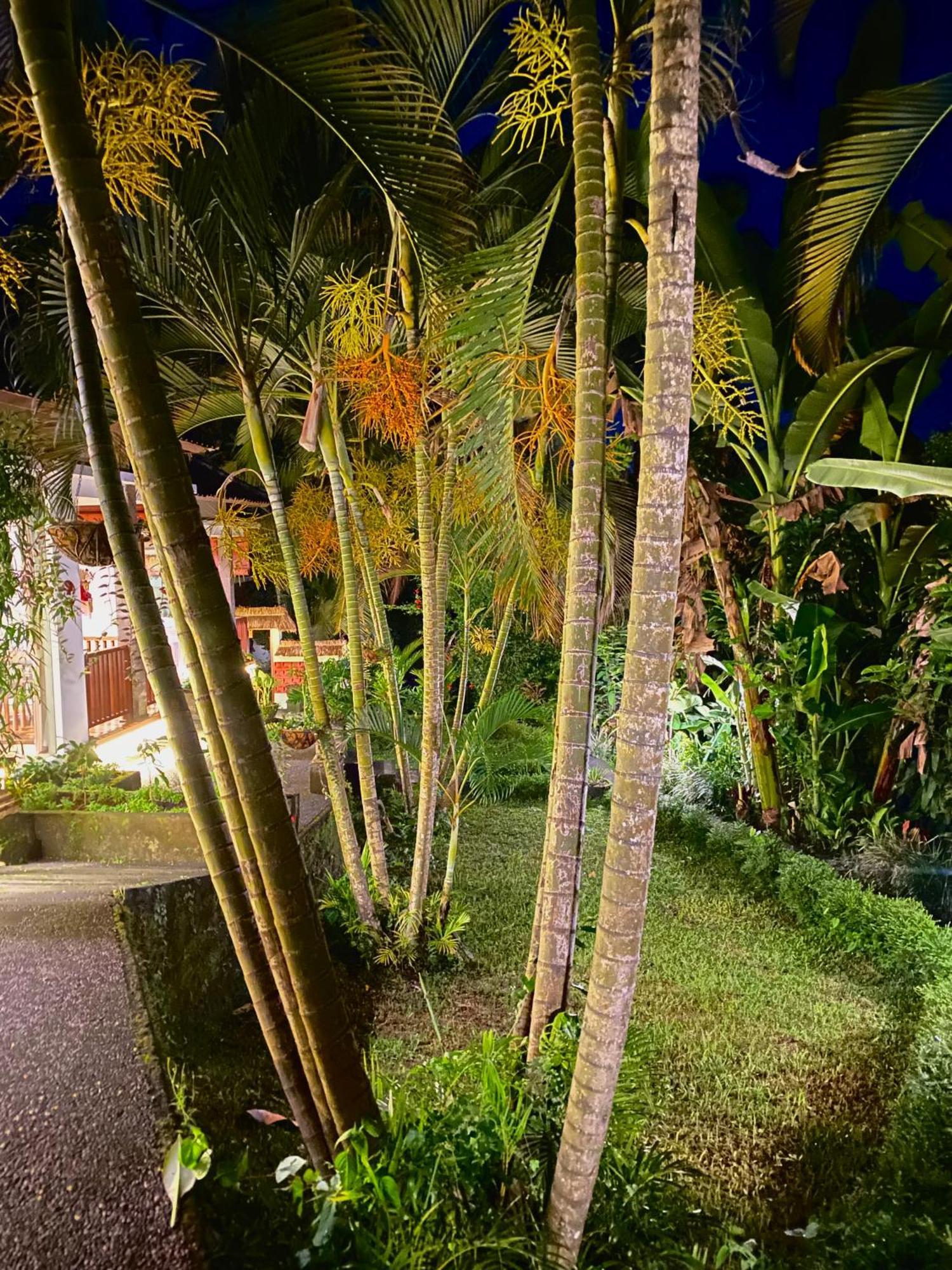 Ardan Maison Ubud Eksteriør billede